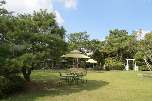 [크기변환]DSC_8507.JPG