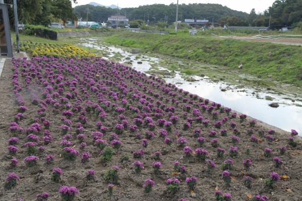 [크기변환]DSC_8508.JPG